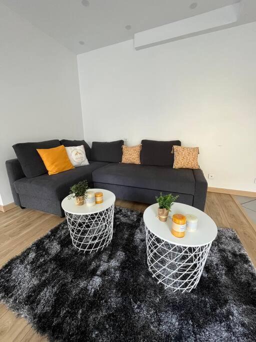 Superbe Appartement Moderne En Rez-De-Chaussee Ozoir-la-Ferrière Exteriér fotografie